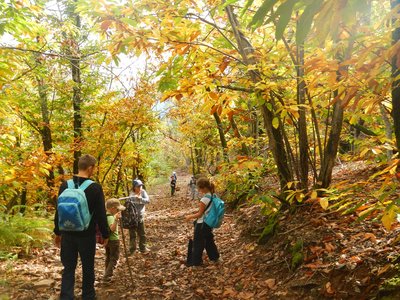 Randonnée Automne et Châtaignes_Colognac