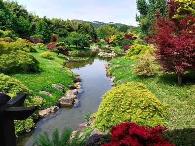 Visites exclusives du jardin d’inspiration japonaise « Le Vallon du Dragon »_Générargues