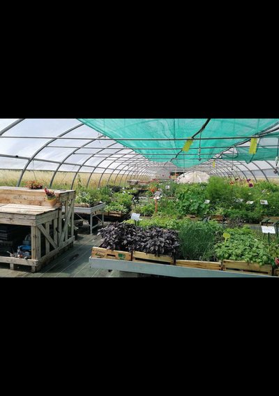 Chantier participatif_Saint-Dionisy
