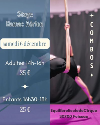Stage - Hamac aérien_Foissac