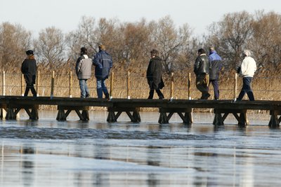 visite guidée sur les pilotis