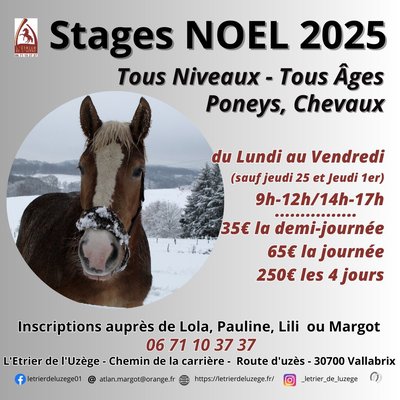 Stage de Noël - Centre équestre et poney club_Vallabrix