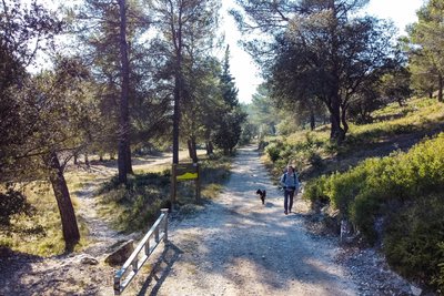 Randonnée : les Hauts de Villeneuve et le Trou de la Lune_Villeneuve-lez-Avignon