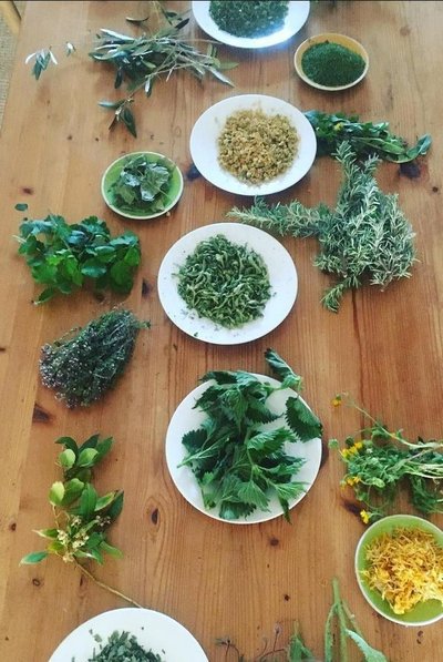 Tables avec plantes sauvages