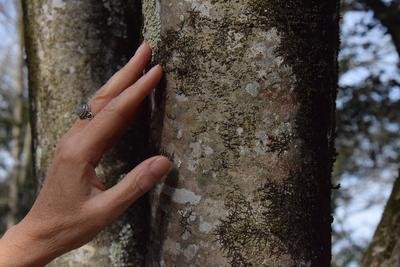 Bain de Nature_Saint-Quentin-la-Poterie