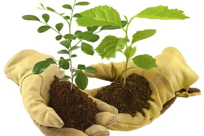 Fête des Jardiniers amateurs_Bagnols-sur-Cèze