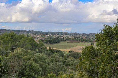 Randonnée entre vignes et chapelles_Roquemaure