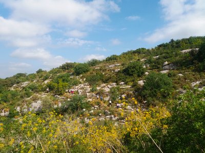 Balade insolite à la découverte des plantes sauvages comestibles dans la vallée de l’Eure