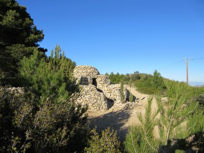 Balade botanique autour des capitelles