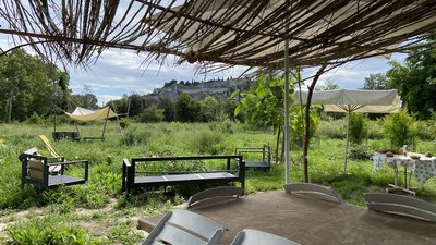 Balade "Plantes sauvages et permaculture"_Villeneuve-lez-Avignon