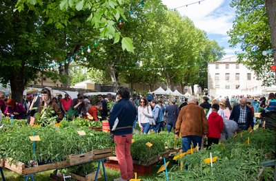 La Main Verte_Le Vigan