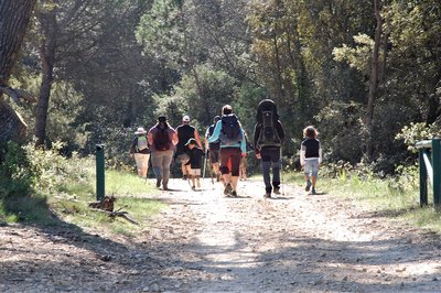 Marche des Vignerons de Sabran - 2
