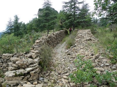 Route de Rutènes