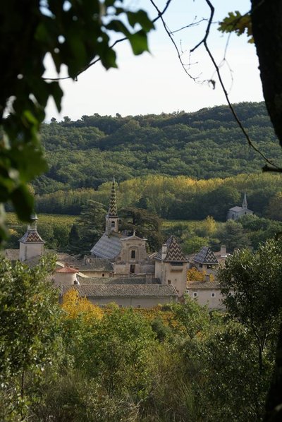 Chartreuse de valbonne nichée au coeur de la forêt