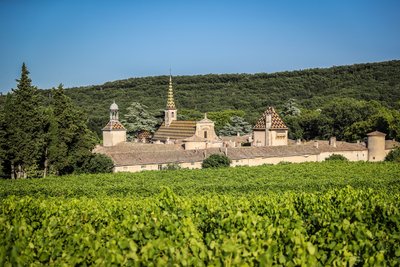 Forêt domaniale de Valbonne_Saint-Paulet-de-Caisson