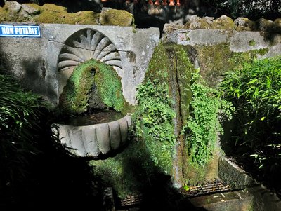 Source sortant du bassin du Parc des Cordeliers