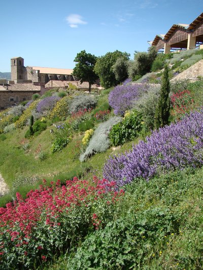 Les halles Planchon, et l'église de Laudun