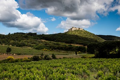 Château de Gicon - vue d'ensemble