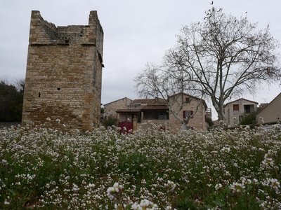 Garrigues vue sur pigeonnier et maison du villagegénérale