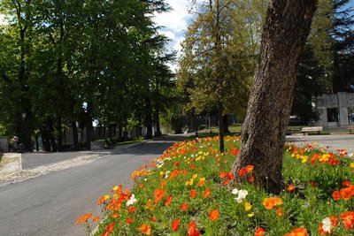 Parc du Bosquet Alès