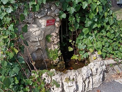 Parc du Bosquet d'Alès_Alès