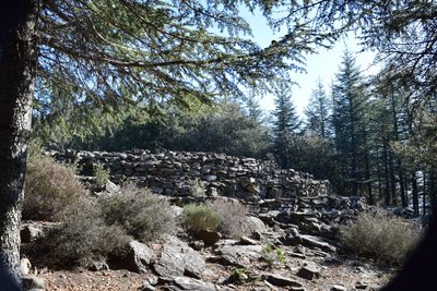 Tumulus Elzière-1