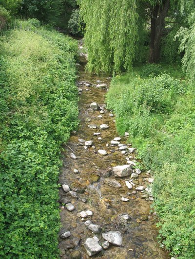 Ruisseau du Brion - Parc Saillens