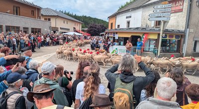 Fête de la Transhumance_Valleraugue