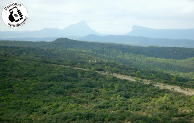Vue sur Pic Saint Loup et Hortus