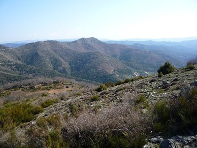 Vue des Cévennes