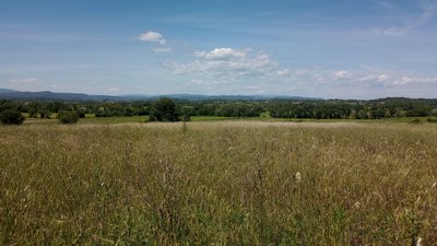 Champs, vignes, bois, villages, montagnes