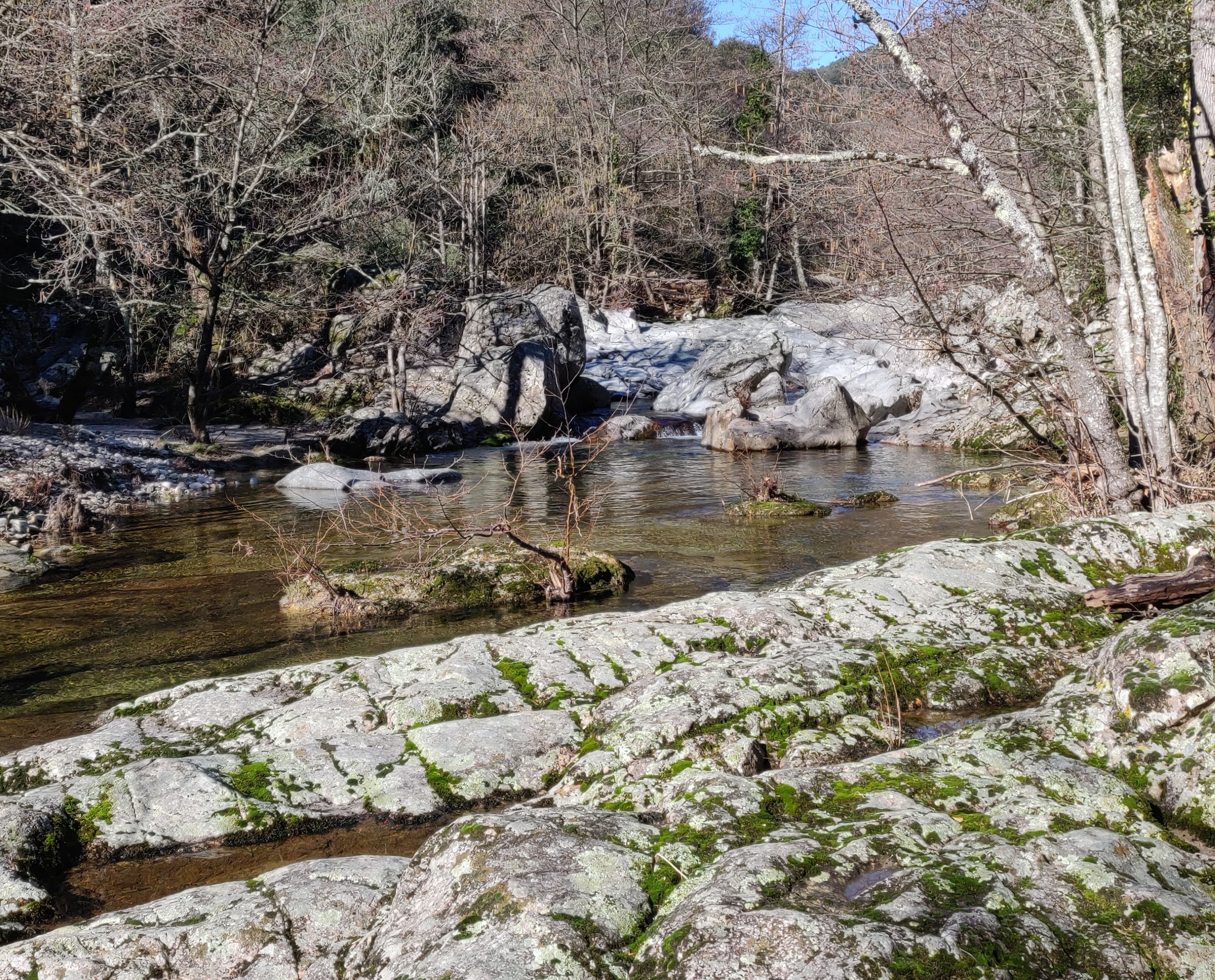 La rivière "La Salindrenque"