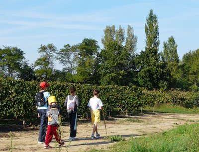 Rando dans les vignes