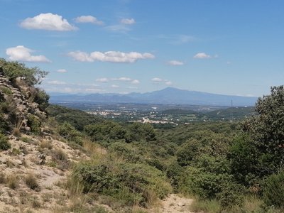 Vue sur le Mont Ventoux